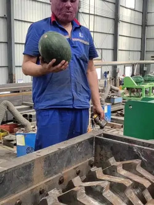 商用西瓜粉碎機(jī) 食品加工機(jī)械設(shè)備的高效應(yīng)用