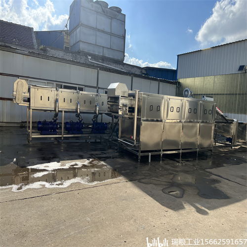 一站式解決大姜生產難題，選擇瑞糧食品工業裝備大姜清洗機